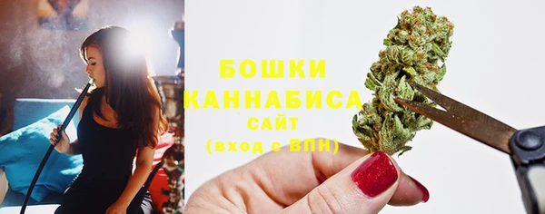 спайс Гусев