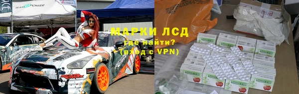 спайс Гусев