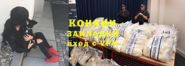 спайс Гусев