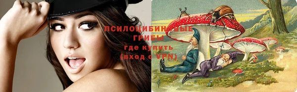 спайс Гусев